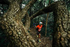 BIB: 
                            <button type="button" onclick="openModal(25669670)" class="btn btn-primary btn-sm float-right btn-popup" data-toggle="modal" data-target=".modal-high-quality">
                        <i class="fas fa-shopping-cart"></i> Add to Cart
                    </button>
                                            <button type="button" onclick="isThisMe(25669670, true)" class="btn btn-success btn-sm float-right btn-popup btn-isme hidden" data-toggle="tooltip" data-placement="bottom" title="นี่คือรูปของคุณใช่ไหม คลิกที่นี่เพื่อเอาเข้าอัลบั้ม">
                        <i class="fas fa-plus"></i> Add to album
                    </button>
                    <button type="button" onclick="isThisMe(25669670, false)" class="btn btn-warning btn-sm float-right btn-popup btn-isnotme hidden">
                        <i class="fas fa-ban"></i> Remove from album
                    </button>